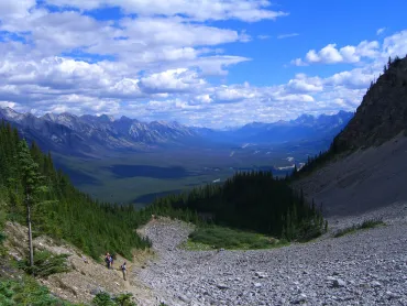 Wanderweg im Banff Nationalpark
