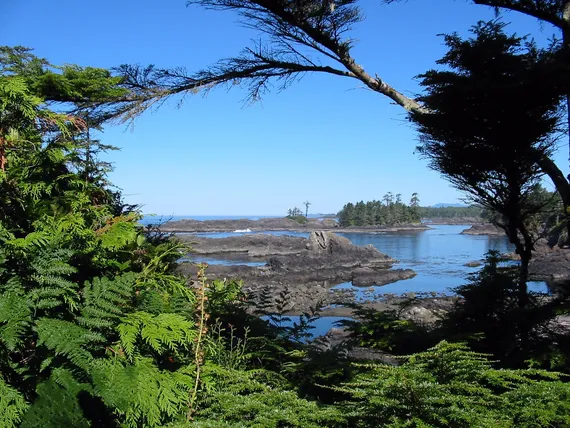 Pacific Rim Nationalpark Pacific Rim, Vancouver Island