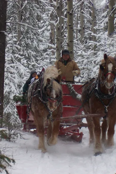 Winter Adventure in the Rockies, hotels, 11 days